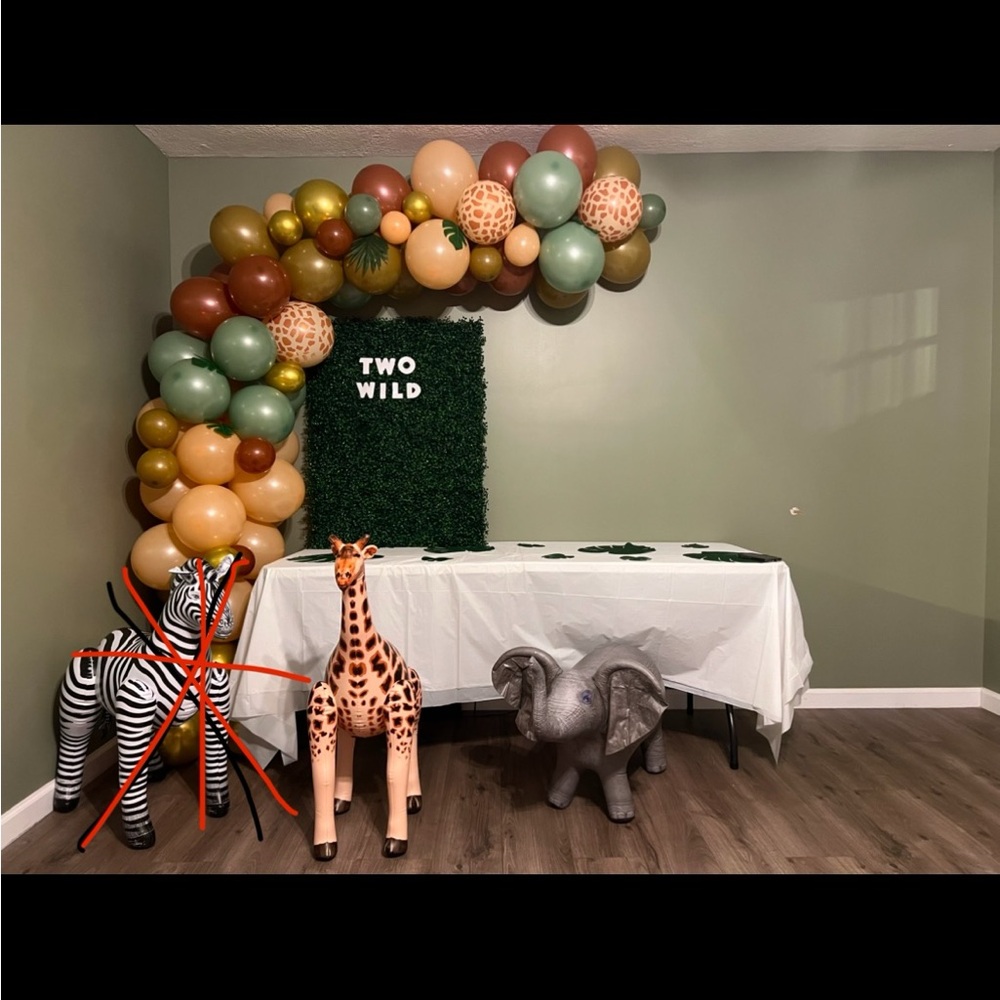 Two Wild Party Supplies